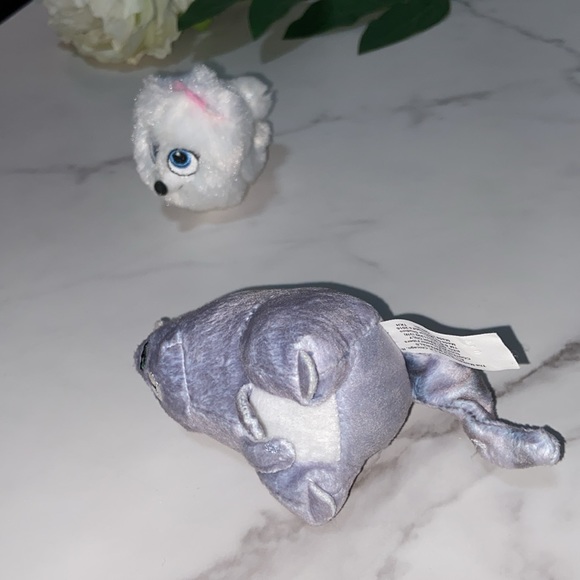 Pets Chloe cat and Gidget Puppy (The secret life) - Picture 11 of 17